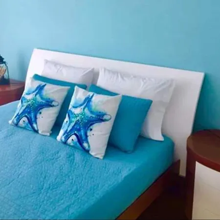 Flipflops Ocean View * 나자레